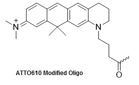 Bio-Synthesis Inc. Oligo Structure